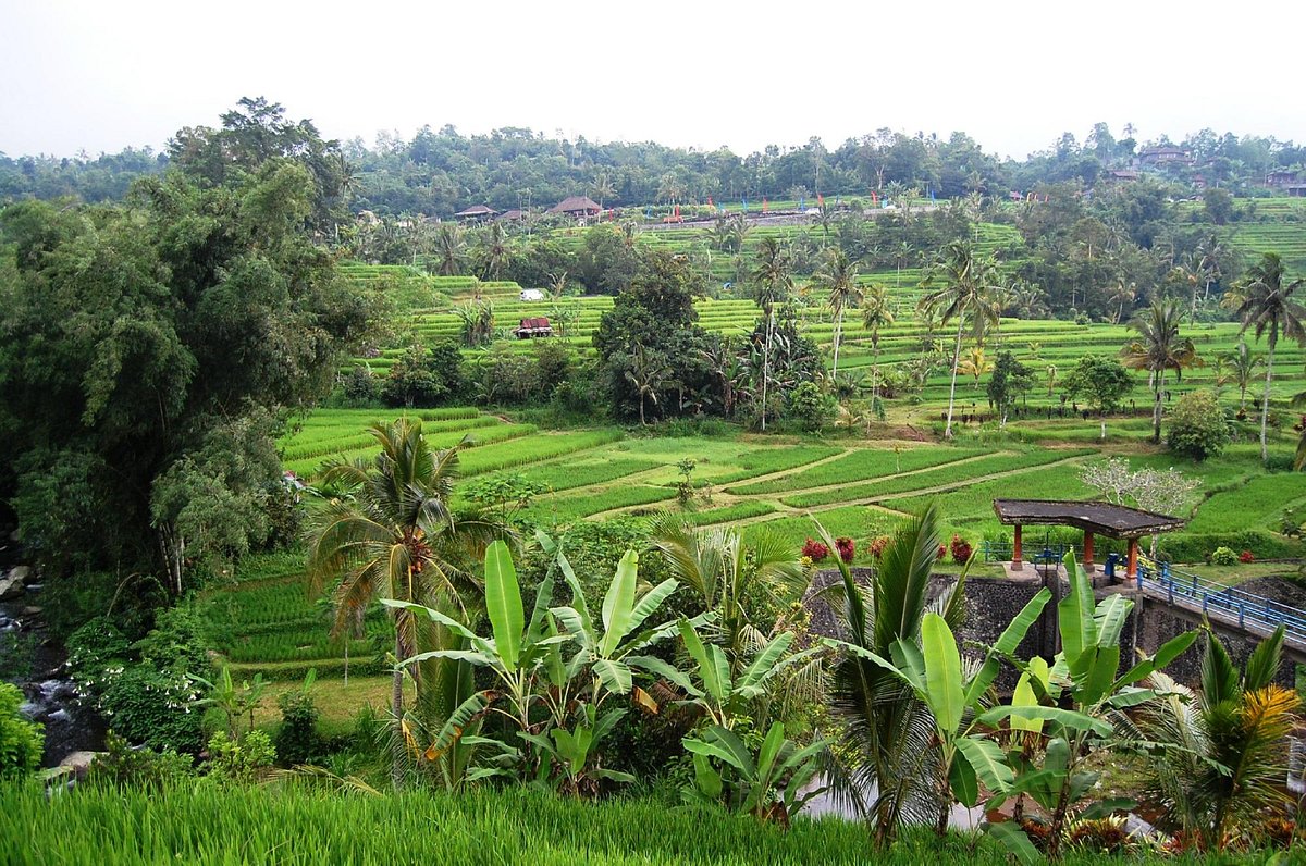 Bali Zoo